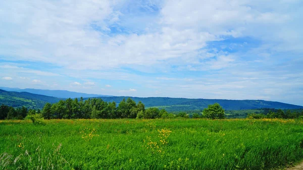 Blick Auf Die Karpaten Bedeckt Von Einem Grünen Wald Unter — Stockfoto