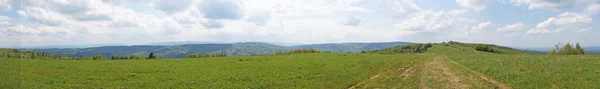 Vista Panorámica Las Montañas Cárpatas Cubiertas Por Bosque Verde Bajo — Foto de Stock