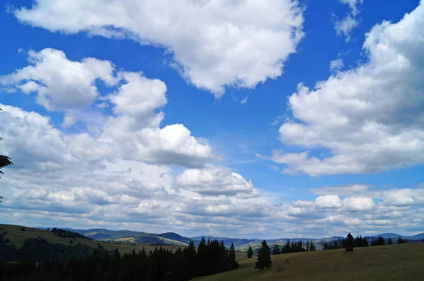喀尔巴阡山脉全景 蓝天白云覆盖着一片绿林 — 图库照片