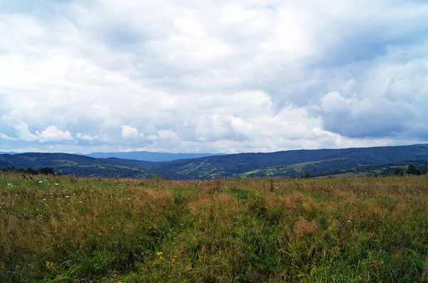 Panoramautsikt Över Karpaterna Täckt Grön Skog Blå Himmel Och Vita — Stockfoto