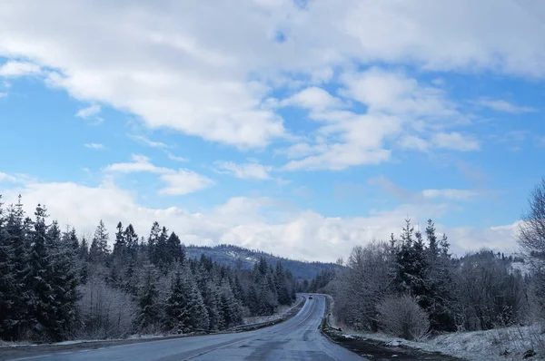 Estrada Montanha Entre Abetos Altos Cobertos Neve Sob Céu Azul — Fotografia de Stock