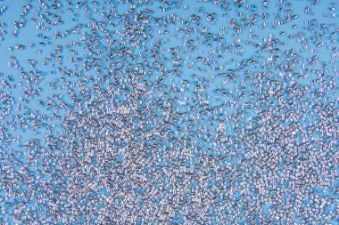 Gümüş Conaller Mavi Arkaplanda.