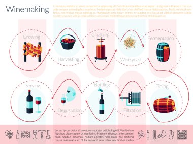 düz şarap yapımı Infographic