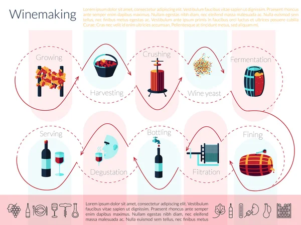 Flat winemaking infographic — Stock Vector