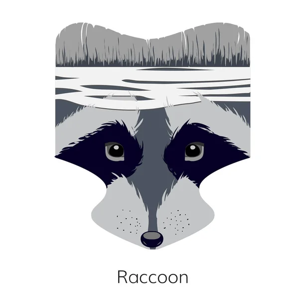 Icono cabeza de mapache — Vector de stock