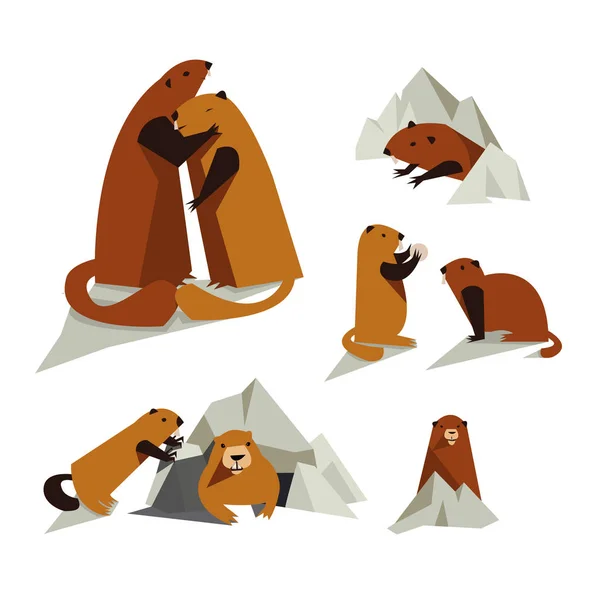 Conjunto de iconos de marmota — Vector de stock
