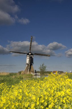 Kolza Broekmolen windmill yakınındaki