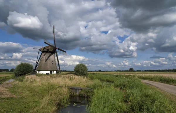 Oude Doornse Mill — Stockfoto