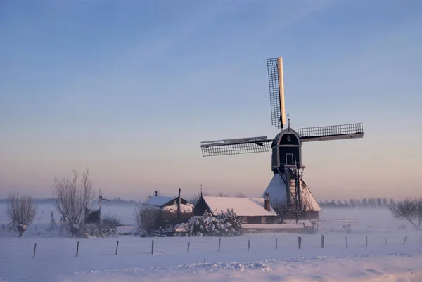 Wintermood Wingerdse değirmen