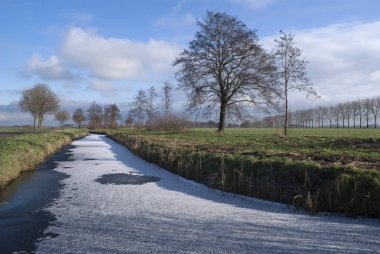 Wijngaarden yakın donmuş hendek