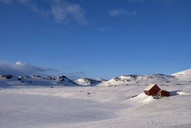 Norveç Dağı Yaylası Hardangervidda'da
