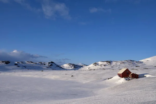 Норвезька-гірське плато Hardangervidda — стокове фото