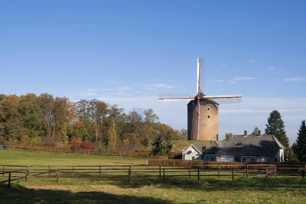 Tower mill Zeddam — Stockfoto