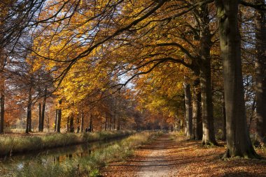 Gran Canal Renswoude