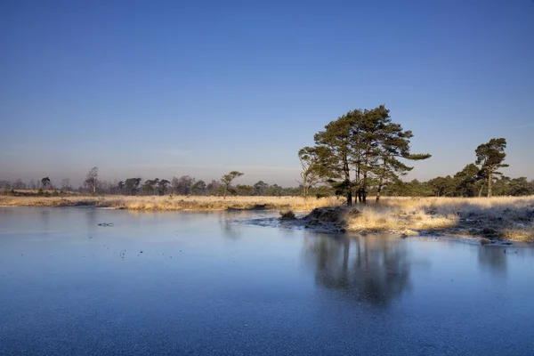 Donmuş bozkır havuzu