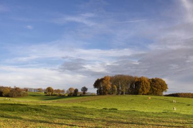 Groesbeek yakınlarındaki manzara