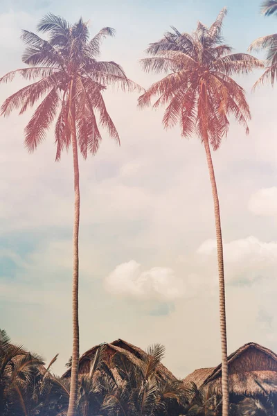 Cocos palmbomen op de tropische resort bungalow dak — Stockfoto