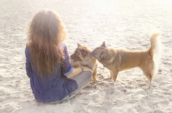 Młoda kobieta gra z psami na plaży o zachodzie słońca — Zdjęcie stockowe