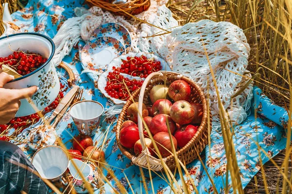 Nahaufnahme von Frauenhand und frischen Früchten und Beeren in Tellern — Stockfoto