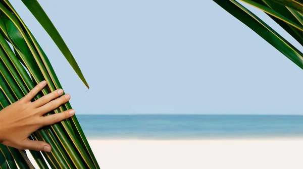 Nahaufnahme Von Frischen Grünen Palmenblättern Mit Der Hand Strand — Stockfoto