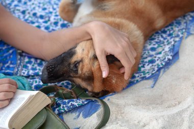 Sahilde köpeğe sarılan kadının yakın çekim görüntüsü.
