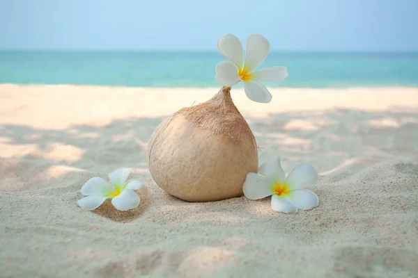 ビーチで花とココナッツの密接な眺め — ストック写真