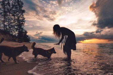 Genç bir kadın ve köpekleri sahilde