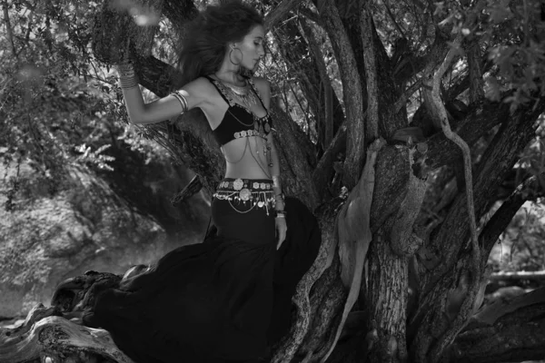 屋外で木がポーズをとる部族の女性ダンサーの風光明媚なファッションショット — ストック写真
