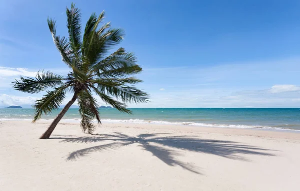 Schilderachtig Uitzicht Prachtig Strand Nabij Oceaan Met Palm — Stockfoto