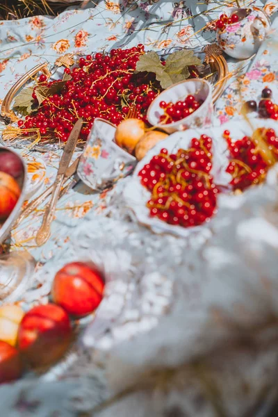 Picknick Mit Frischen Beeren Und Früchten Der Natur — Stockfoto