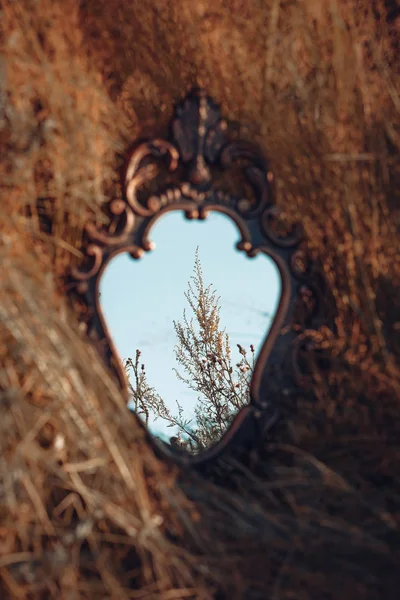 Vedere Frumoasă Oglinzii Vechi Din Lemn Câmp Fotografie de stoc