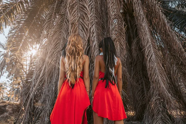 Dois belos modelos na moda jovens em vestidos vermelhos ao ar livre — Fotografia de Stock