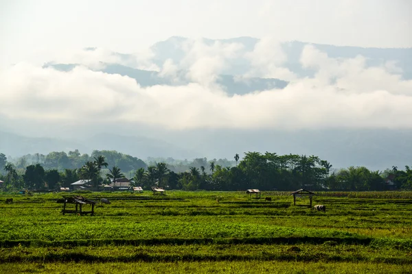 Vista rural em um dia nebuloso — Fotografia de Stock
