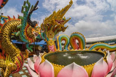 Çince ejderha ile naga kralı Tay