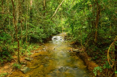 Suyolu Doğal Parkı içinde