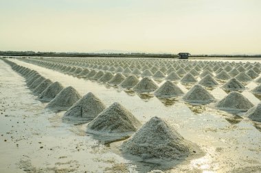 Tuz tuz gruptaki yığınları