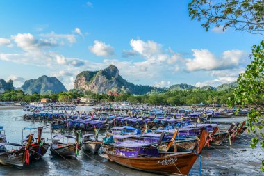 Denizde yüzen turist tekneleri