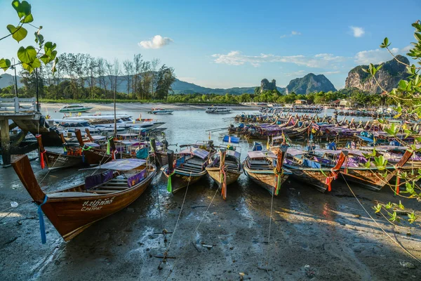Denizde yüzen turist tekneleri