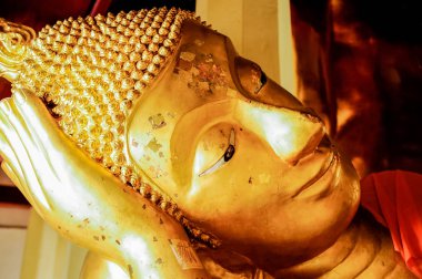 Yatan Buda görüntü başkanı