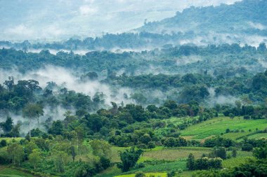 Tepelerde rural hava görünümünü sabah sis ile kaplı