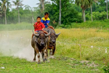 Texas'ın üzerinde sürme ve pirinç çiftlik üzerinde yarış yapma çocuklar