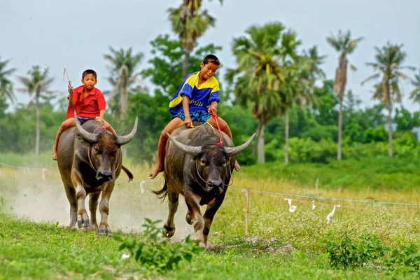 Texas'ın üzerinde sürme ve pirinç çiftlik üzerinde yarış yapma çocuklar