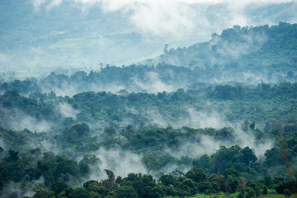 Tepelerde rural hava görünümünü sabah sis ile kaplı