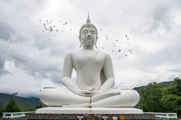 Buiten grote witte Boeddha beeld boeddhistische tempel — Stockfoto