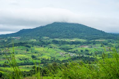 Tepelerde rural hava görünümünü sabah sis ile kaplı