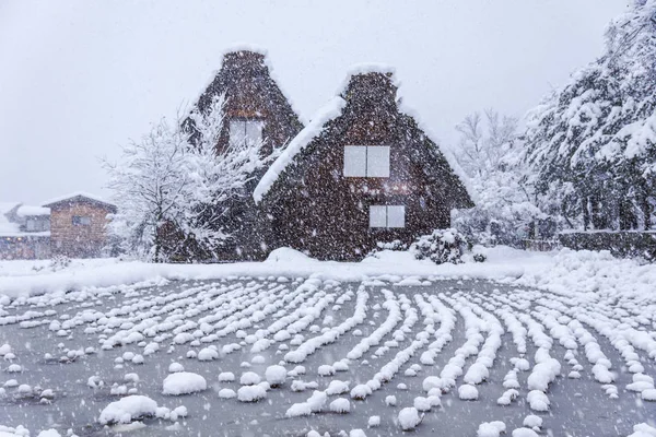 Shirakawago, village du patrimoine mondial, destination toutiste — Photo