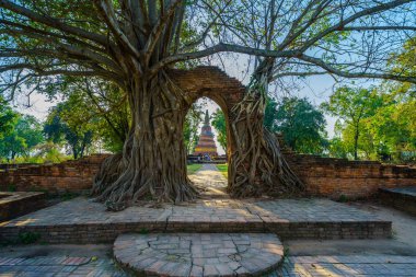 Antik eski pagoda harap tuğla duvar, kapı çerçeve içinde kaplı