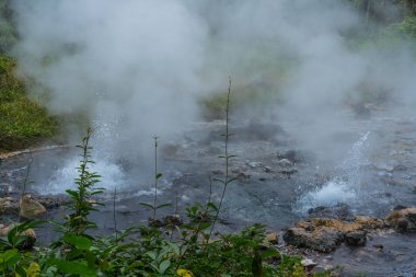 Gayzer Huai Nam Dang Milli Parkı Chiangmai, Tayland