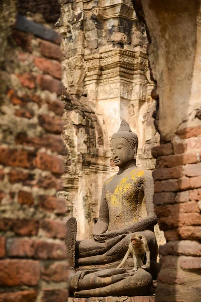 Bella immagine rock Buddha con scimmia — Foto Stock