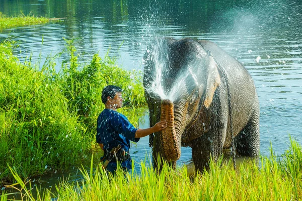 泰国南邦府 2012年11月3日 泰国南邦府国家公园大象营地 Mahout 训练大象 — 图库照片